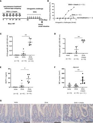 Staphylococcus aureus δ-toxin present on skin promotes the development of food allergy in a murine model